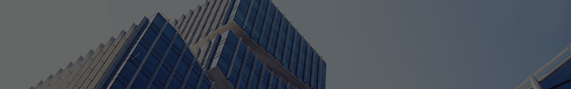 Международная торговая компания Цзясин Сюаньи, ООО