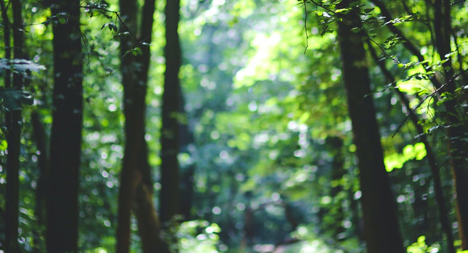 Международная торговая компания Цзясин Сюаньи, ООО