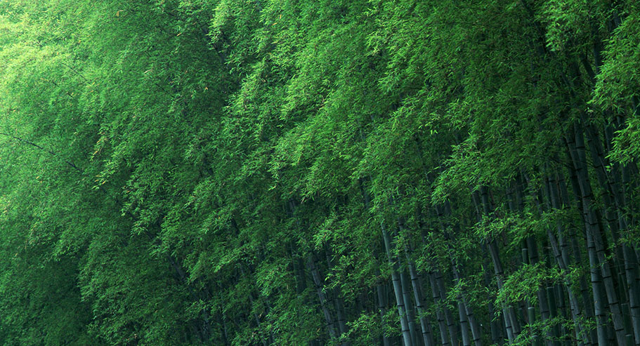 Международная торговая компания Цзясин Сюаньи, ООО